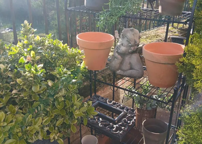 Дом отдыха Claro Mews Gem