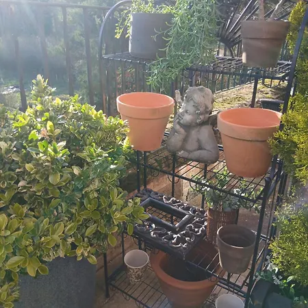 Prázdninový dům Claro Mews Gem