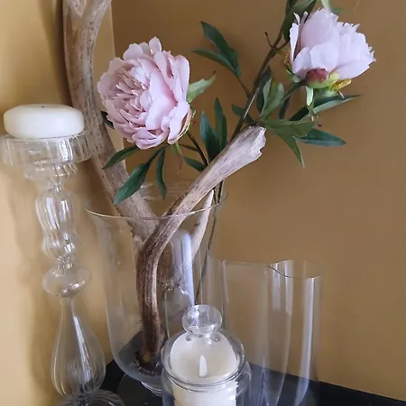 Claro Mews Gem * Knaresborough