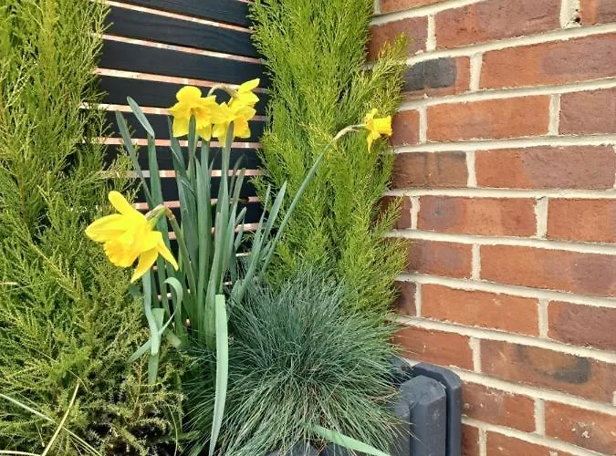 Claro Mews Gem Prázdninový dům *