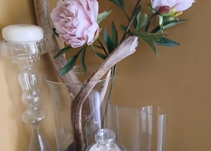 Claro Mews Gem * Knaresborough